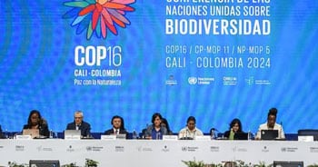 Biodiversité : Passage à l’opérationnalisation du Cadre mondial